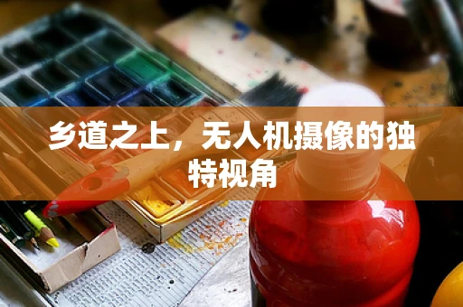 乡道之上，无人机摄像的独特视角