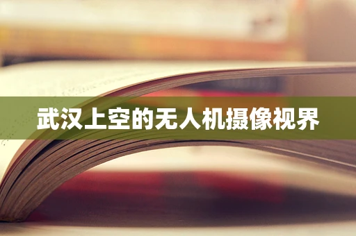 武汉上空的无人机摄像视界