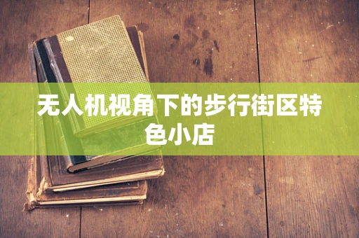 无人机视角下的步行街区特色小店