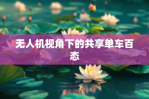 无人机视角下的共享单车百态