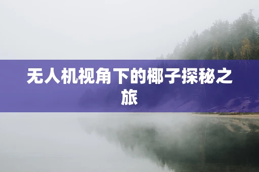 无人机视角下的椰子探秘之旅