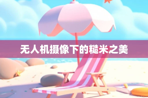 无人机摄像下的糙米之美