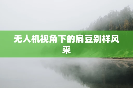 无人机视角下的扁豆别样风采