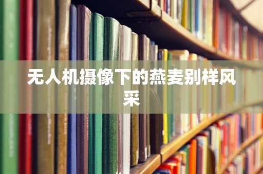 无人机摄像下的燕麦别样风采