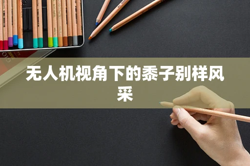 无人机视角下的黍子别样风采