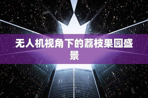 无人机视角下的荔枝果园盛景
