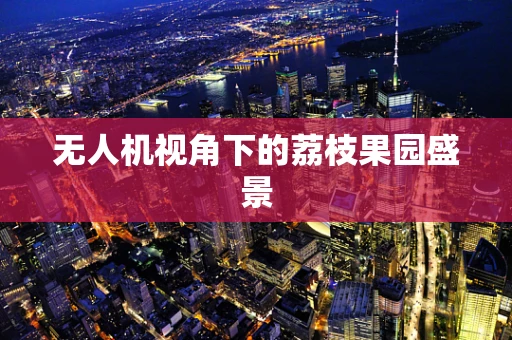 无人机视角下的荔枝果园盛景