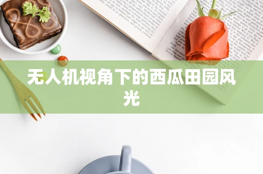 无人机视角下的西瓜田园风光