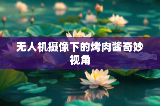 无人机摄像下的烤肉酱奇妙视角
