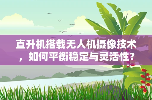 直升机搭载无人机摄像技术，如何平衡稳定与灵活性？