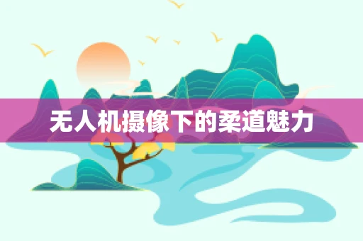 无人机摄像下的柔道魅力
