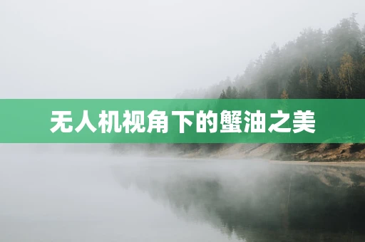 无人机视角下的蟹油之美