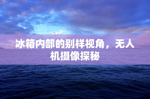 冰箱内部的别样视角，无人机摄像探秘