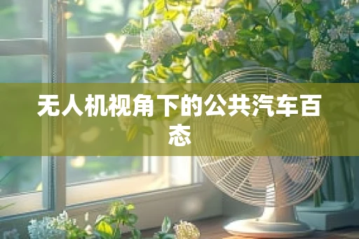 无人机视角下的公共汽车百态