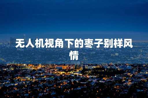 无人机视角下的枣子别样风情