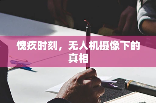 愧疚时刻，无人机摄像下的真相
