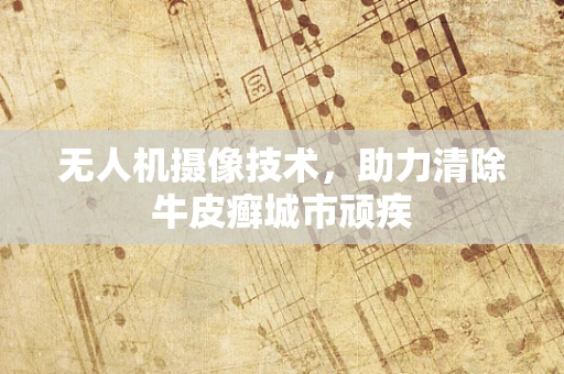无人机摄像技术，助力清除牛皮癣城市顽疾