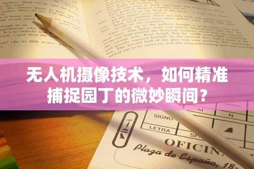 无人机摄像技术，如何精准捕捉园丁的微妙瞬间？
