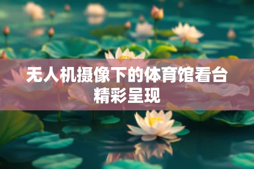 无人机摄像下的体育馆看台精彩呈现