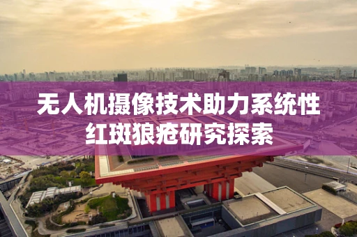 无人机摄像技术助力系统性红斑狼疮研究探索