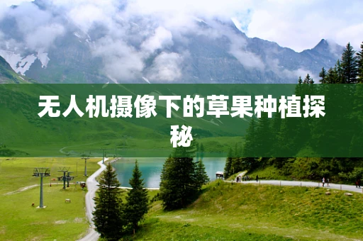 无人机摄像下的草果种植探秘