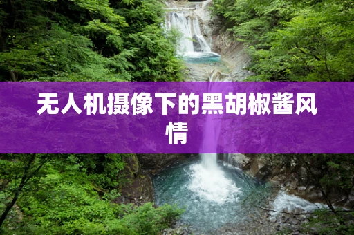 无人机摄像下的黑胡椒酱风情