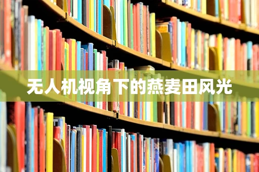 无人机视角下的燕麦田风光