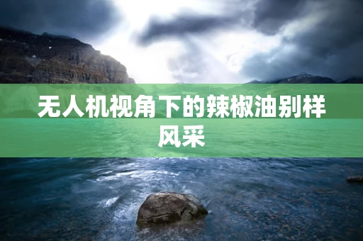 无人机视角下的辣椒油别样风采