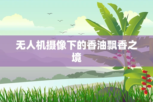 无人机摄像下的香油飘香之境