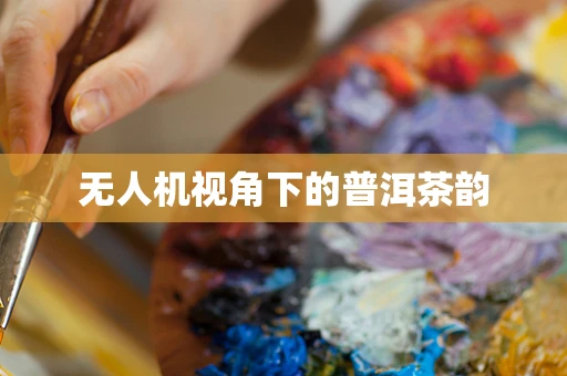 无人机视角下的普洱茶韵