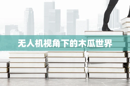 无人机视角下的木瓜世界