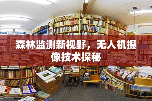 森林监测新视野，无人机摄像技术探秘