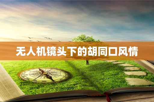 无人机镜头下的胡同口风情