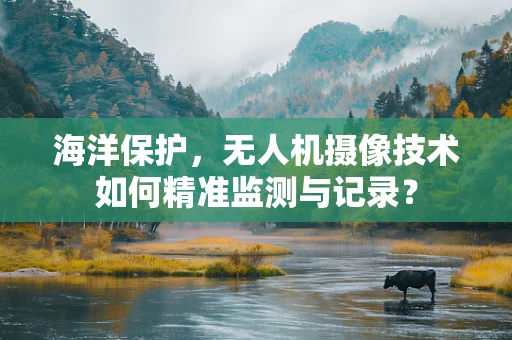 海洋保护，无人机摄像技术如何精准监测与记录？
