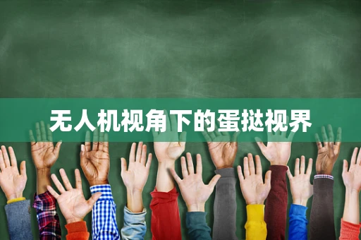 无人机视角下的蛋挞视界