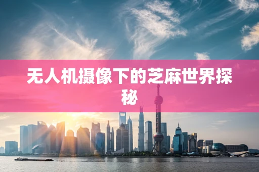 无人机摄像下的芝麻世界探秘