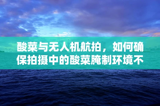 酸菜与无人机航拍，如何确保拍摄中的酸菜腌制环境不受干扰？