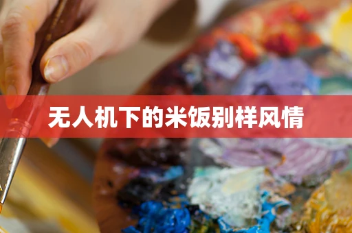 无人机下的米饭别样风情