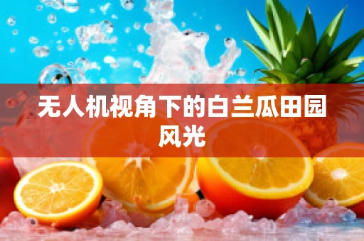 无人机视角下的白兰瓜田园风光