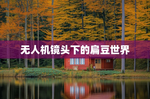 无人机镜头下的扁豆世界
