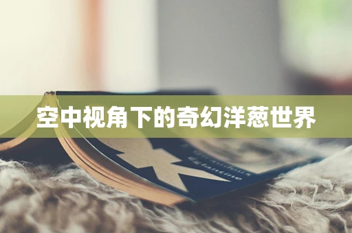 空中视角下的奇幻洋葱世界