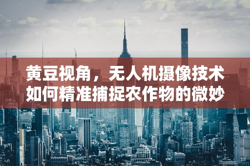 黄豆视角，无人机摄像技术如何精准捕捉农作物的微妙变化？