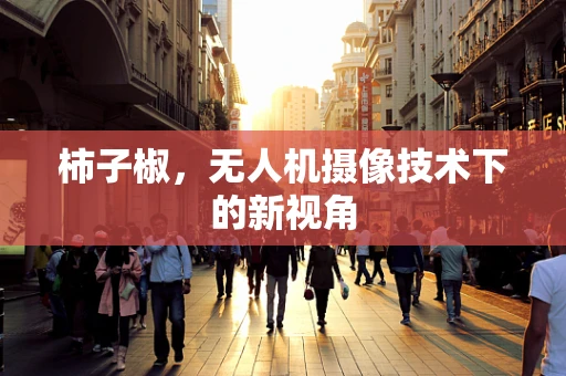 柿子椒，无人机摄像技术下的新视角