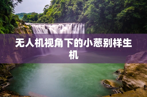 无人机视角下的小葱别样生机