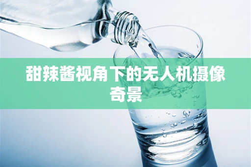 甜辣酱视角下的无人机摄像奇景