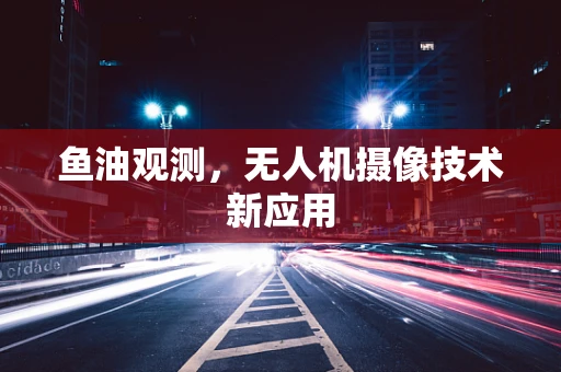鱼油观测，无人机摄像技术新应用