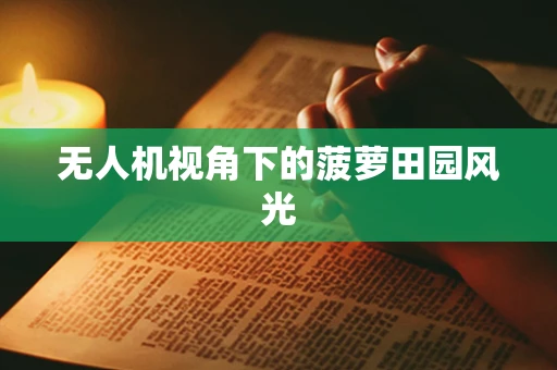无人机视角下的菠萝田园风光