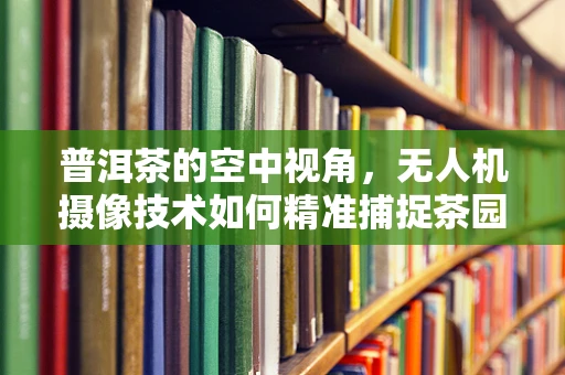 普洱茶的空中视角，无人机摄像技术如何精准捕捉茶园的独特韵味？