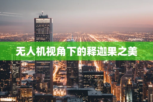 无人机视角下的释迦果之美