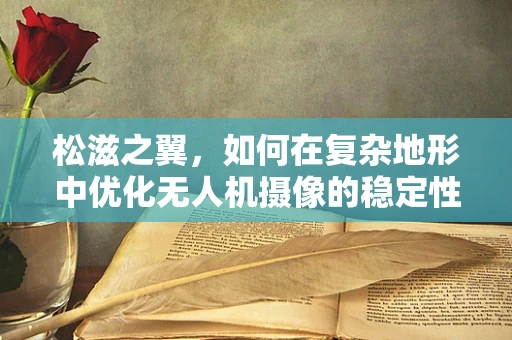 松滋之翼，如何在复杂地形中优化无人机摄像的稳定性？